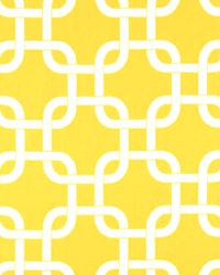 Gotcha Corn Yellow Twill by  Premier Prints 