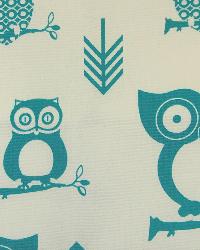 Hooty True Turquoise by  Premier Prints 
