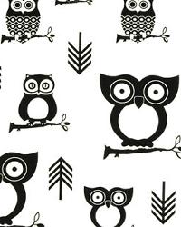 Hooty Black by  Premier Prints 
