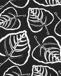 Leaf Black by  Premier Prints 