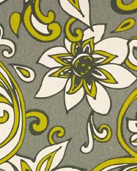 Loni Summerland Natural by  Premier Prints 