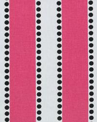 Lulu Candy Pink Black by  Premier Prints 
