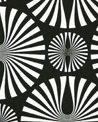 Media Black White by  Premier Prints 