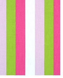 Melrose Candy Pink - Chartreuse by  Premier Prints 
