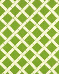 OD Cadence Greenage by  Premier Prints 