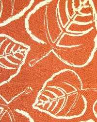 OD Leaf Canyon by  Premier Prints 
