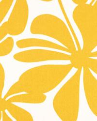 OD Twirly Yellow by  Premier Prints 