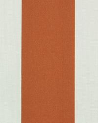 OD Vertical Canyon by  Premier Prints 