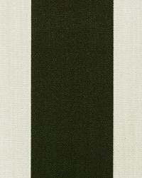 OD Vertical Ebony by  Premier Prints 