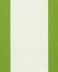 OD Vertical Greenage by  Premier Prints 