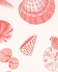 Shells Coral White by  Premier Prints 