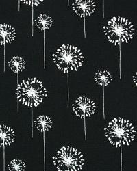 Small Dandelion Black White by  Premier Prints 