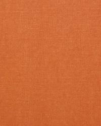 Solid Sweet Potato by  Premier Prints 