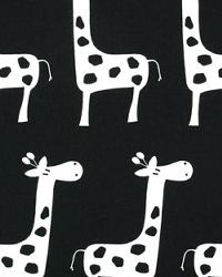 Stretch Black by  Premier Prints 