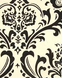 Traditions Chocolate Natural by  Premier Prints 