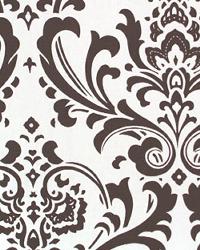 Traditions Chocolate White by  Premier Prints 
