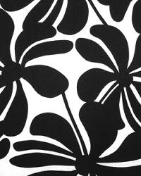 Twirley Black by  Premier Prints 