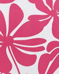 Twirly Candy Pink by  Premier Prints 
