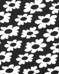 Wildflowers Black by  Premier Prints 