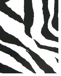 Zebra Black White by  Premier Prints 