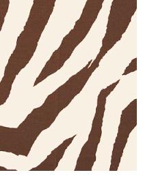 Zebra Chocolate by  Premier Prints 