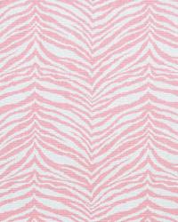Little Tiger Baby Pink by  Premier Prints 