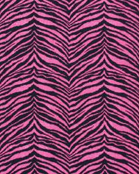 Little Tiger Candy Pink Black by  Premier Prints 