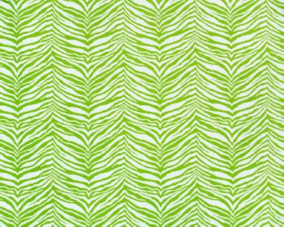 Premier Prints Little Tiger Chartreuse in Premier Prints - Cotton Prints Green Cotton Animal Print   Fabric