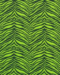 Little Tiger Chartreuse Black by  Premier Prints 