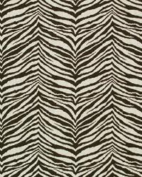 Little Tiger Chocolate Natural by  Premier Prints 