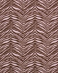 Little Tiger Kelso Maggie by  Premier Prints 