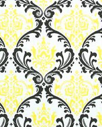 Madison Black Candy Yellow by  Premier Prints 