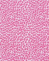 Wild Candy Pink by  Premier Prints 