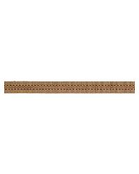 Classic Tape Terracotta by  Robert Allen 