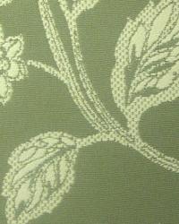 Country Vine Tarragon by  In Stock  