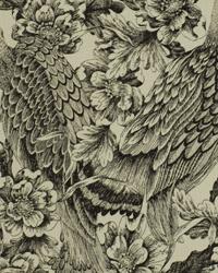 Etched Aviary Jet by  Alexander Henry 