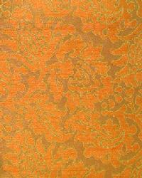 Fernova Tangerine  by  In Stock  