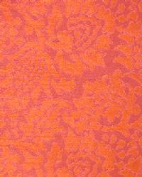Fernova Tropical  by  In Stock  