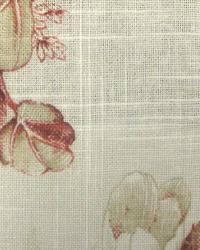 Flower Factor Berry by  In Stock  