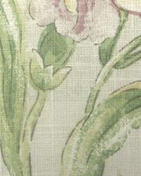 Flower Pad Tulip by  In Stock  