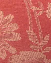 Harville Flora Tulip by  In Stock  