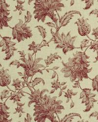 Linnean Hibiscus by  In Stock  