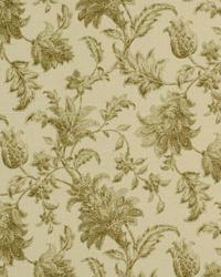 Linnean Praline by  In Stock  