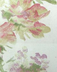 Painted Garden Tulip by  In Stock  