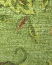 Petal Play Tarragon by  In Stock  