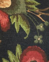 roth and tompkins textiles,roth,drapery fabric,window fabric,curtain fabric,bedding fabric,pillow fabric,designer fabric,decorator fabric,discount fabric,fabric store,fabrics for sale