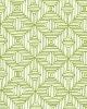 Schumacher Fabric Amazing Maze Palm