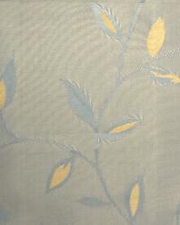 Azaria Gold Mist