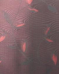Azaria Merlot