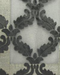 Plush Diamond Black by  World Wide Fabric, Inc. 